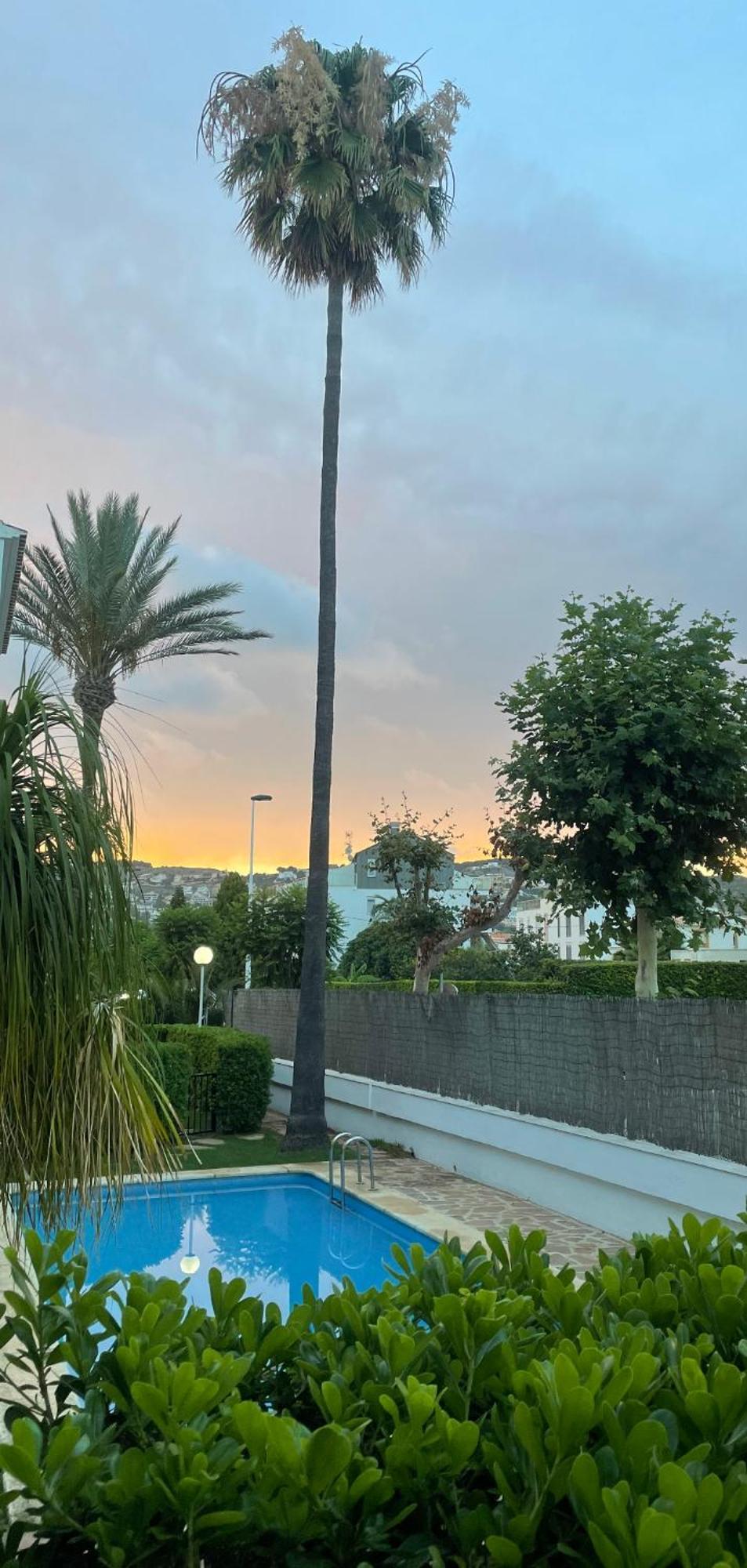 Casa Ole Daire Javea Dış mekan fotoğraf